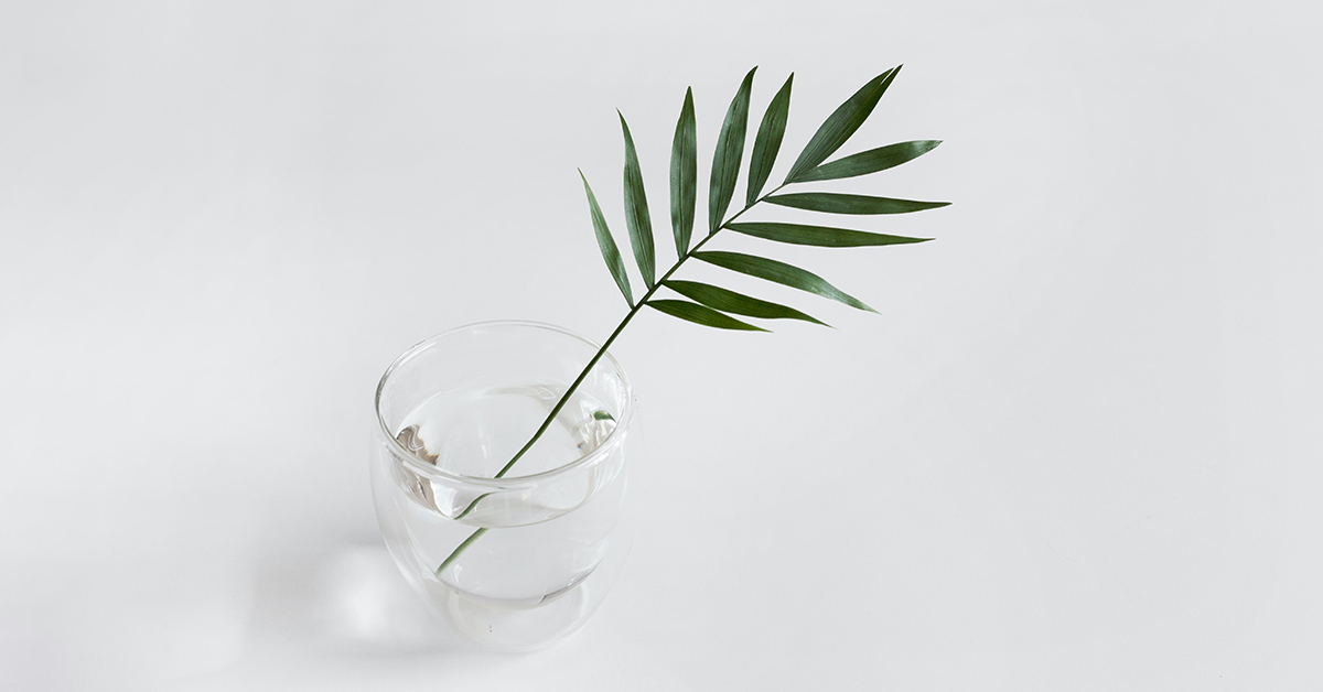 Long leaf in glass of water